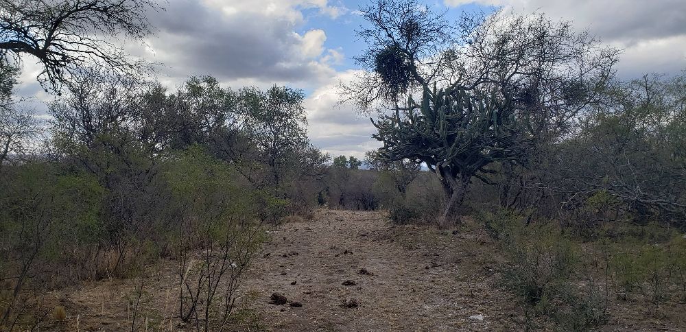 Campo en Venta Ruta 14, Villa Las Rosas - Imagen 9