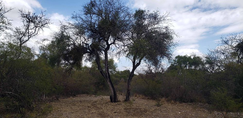 Ruta 14, Villa Las Rosas