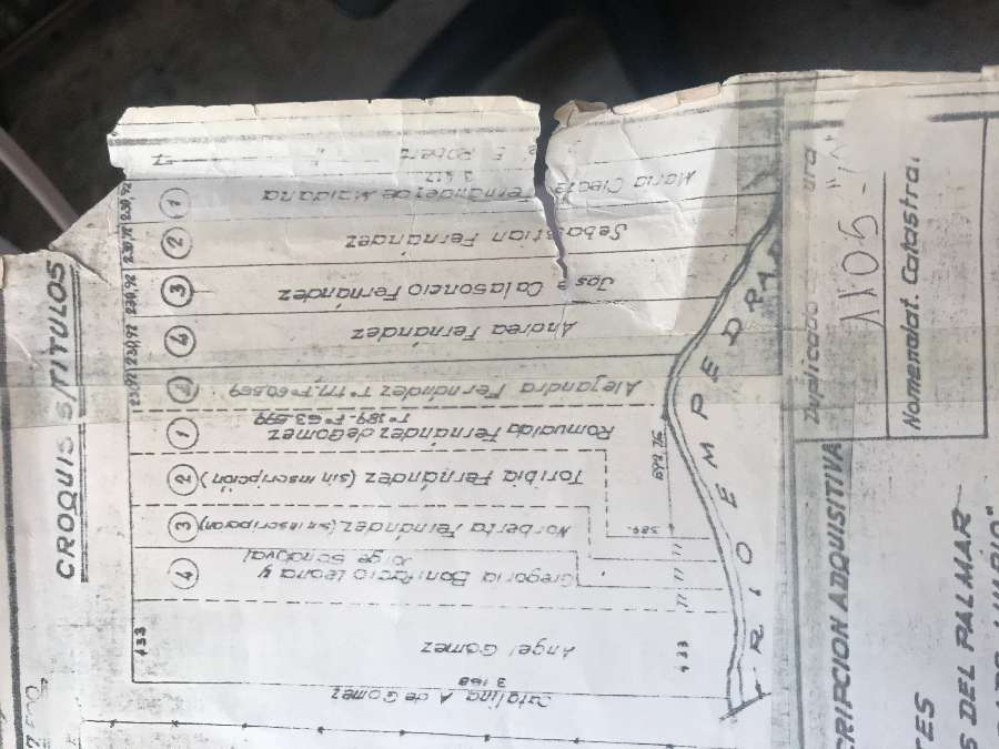 Campo en venta de 71ha, en la Prov. de Corrientes , cerca de ciudad de Corrientes. - Imagen 5