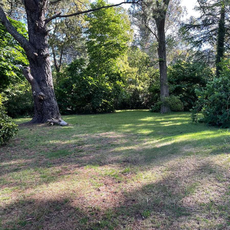 Terreno Sierra De Los Padres C/gas Medidor Elect. - Terreno en Venta en Sierra de los Padres con 712 m2 de terreno - imagen 4