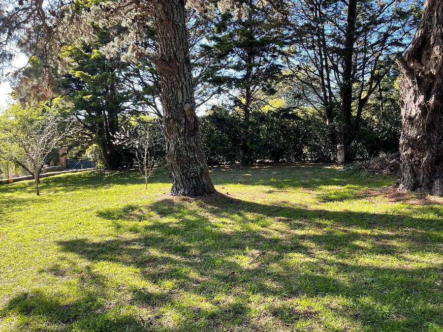 Terreno Sierra De Los Padres C/gas Medidor Elect. - Terreno en Venta en Sierra de los Padres con 712 m2 de terreno - imagen 6