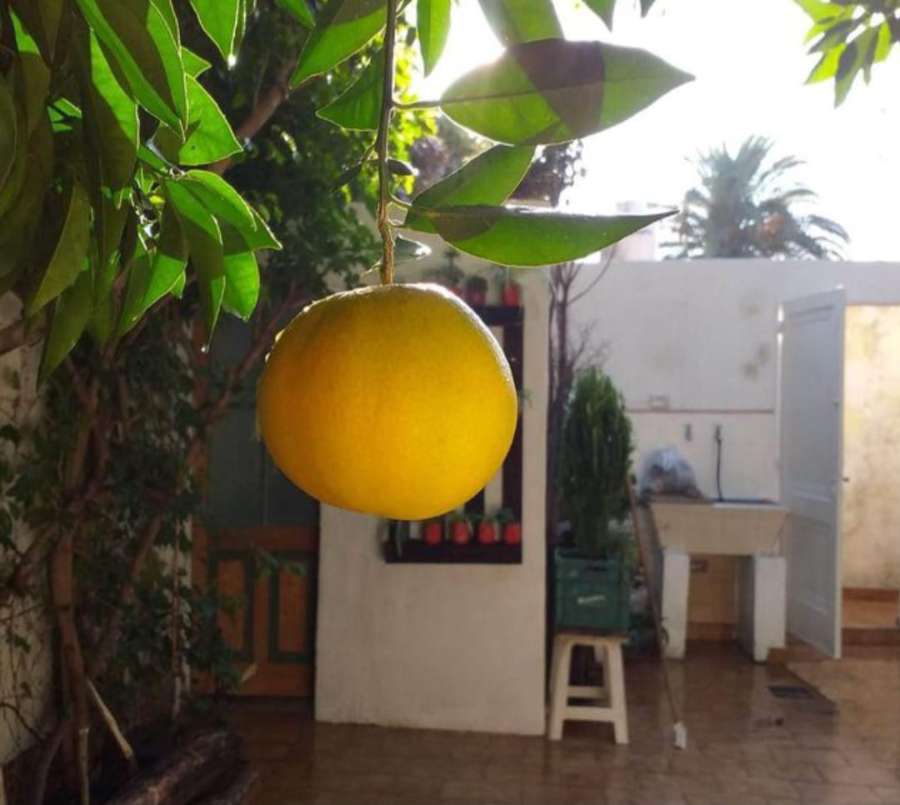 Casa en Liniers en Venta · dueño directo · 4 o más dorm · 5 ambientes - Imagen 2