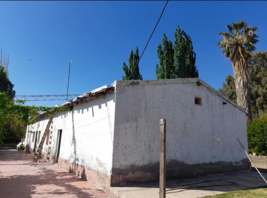 Campo disponible para la en Venta en Rodeo de la Cruz · dueño directo · 4 ha - Imagen 2