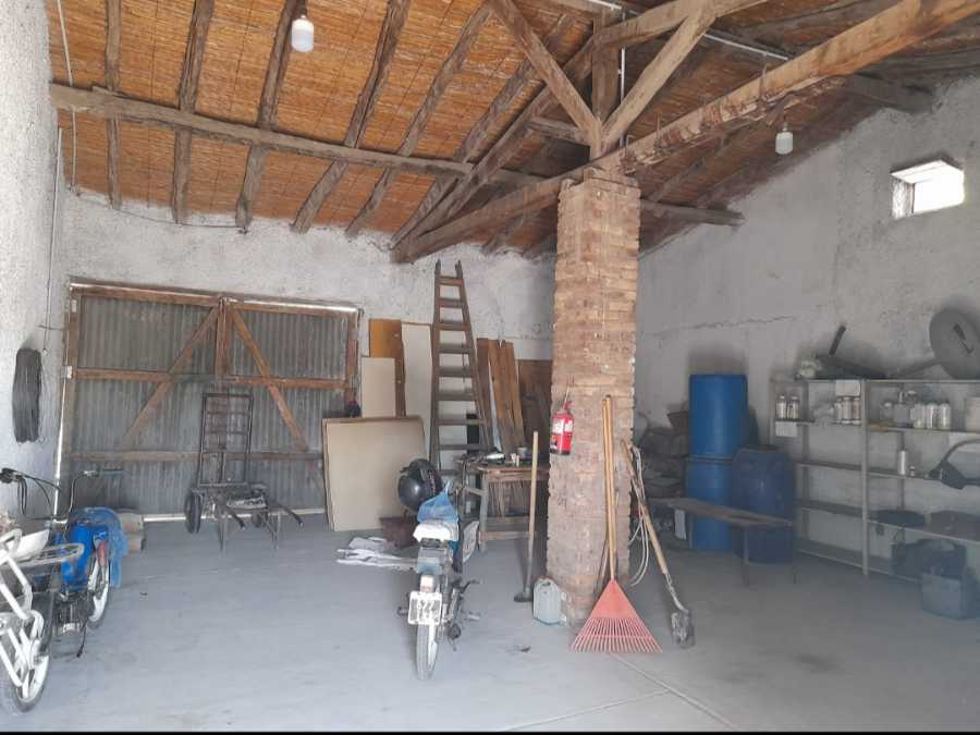 Viedos Casa Galpon Mendoza - Campo en Venta en Rodeo de la Cruz con 4 ha - imagen 5