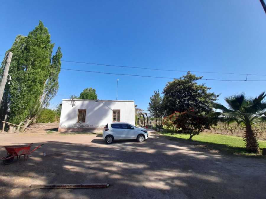 Campo en Venta en Rodeo de la Cruz, · dueño directo · 4 ha - Imagen 4