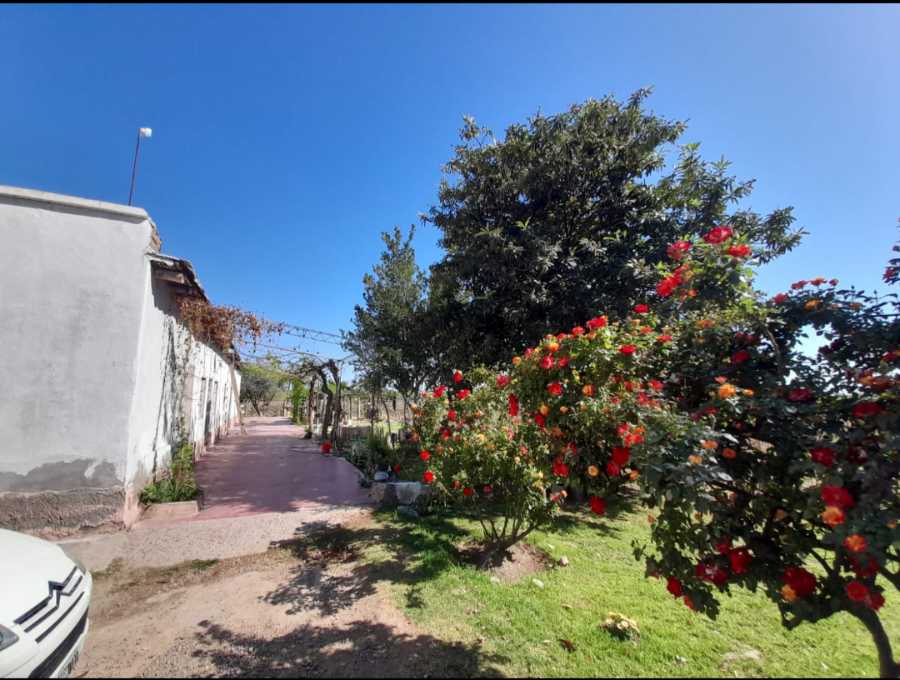 Viedos Casa Galpon Mendoza - Campo en Venta en Rodeo de la Cruz con 4 ha - imagen 6