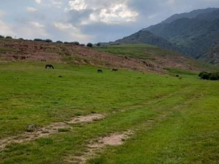 Vendo terreno en el Mollar,mide 1200 mt2,hermoso lugar con frente con Río que pasa por el terreno - Imagen 1