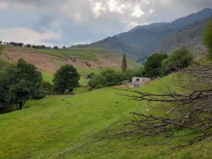 Vendo terreno en el Mollar,mide 1200 mt2,hermoso lugar con frente con Río que pasa por el terreno - Imagen 3