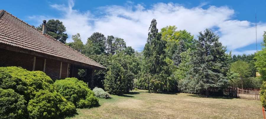 Casa única en Coronel Pringles en Venta · dueño directo · 4 o más dorm · 2 cocheras · 125 m² de lote - Imagen 4