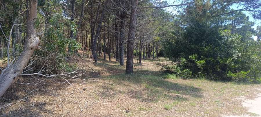 Lotes en Punta Medanos Excelentes - Imagen 2