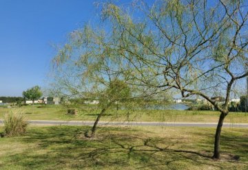 Terreno en Venta en Pilar con barrio privado - Imagen 3
