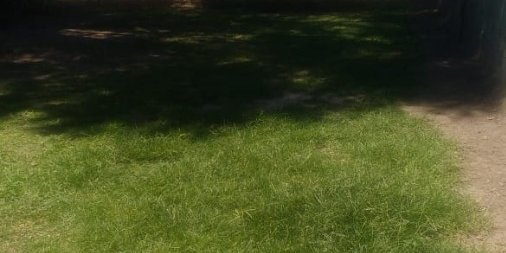 Casa en Venta en Capitan Sarmiento con 2 dorm., 90 m2 cubiertos y 350 m2 totales - imagen 3