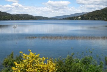 Terreno en Venta en Bariloche con frente 57 m y largo 167 m - Imagen 4