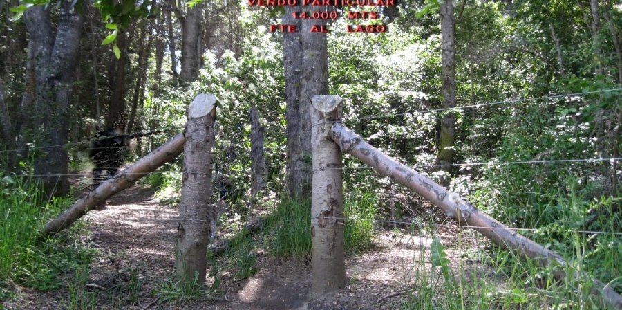 Terreno en Venta en Bariloche con 14.600 m2 de terreno - imagen 7