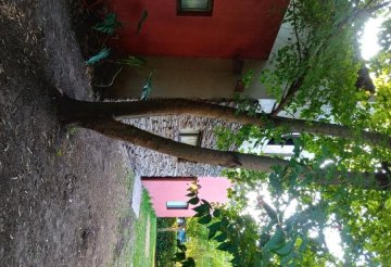 Comprar Casa en Mar del Plata · dueño directo · 3 dorm · cochera · 450 m² de lote - Imagen 4