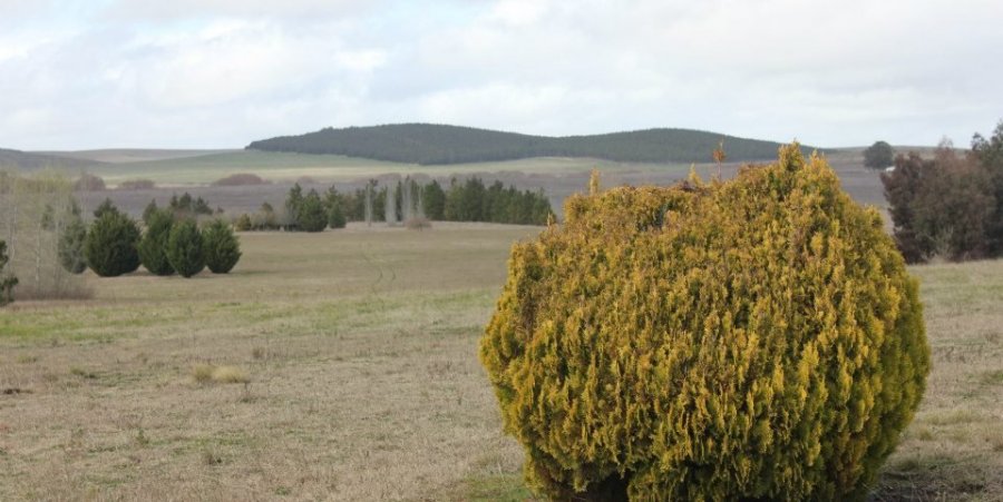 Terreno en Venta en Tandil con 1.818 m2 de terreno - imagen 2