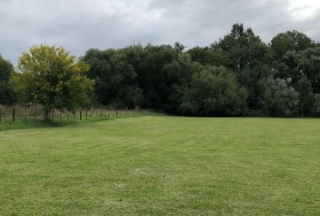 Terreno en Venta en Tandil con 10.000 m² de lote - Imagen 5