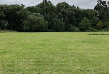Terreno en Venta en Tandil con 10.000 m² de lote - Imagen 3