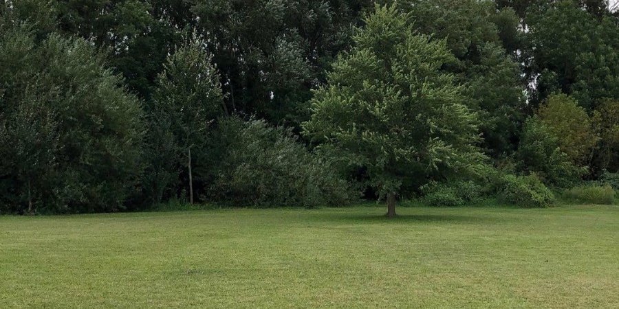 Terreno en Venta en Tandil con 10.000 m2 de terreno - imagen 1
