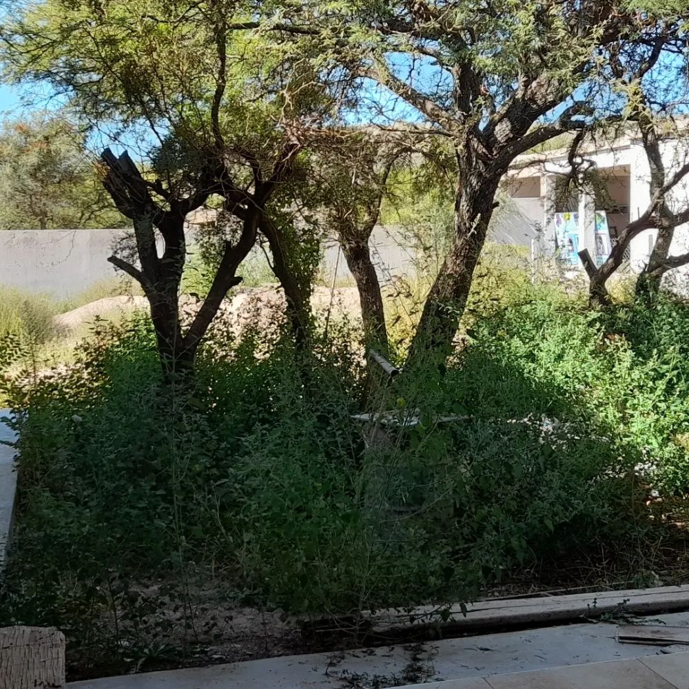 Casa en Venta Las Chacras, Juana Koslay - Imagen 4