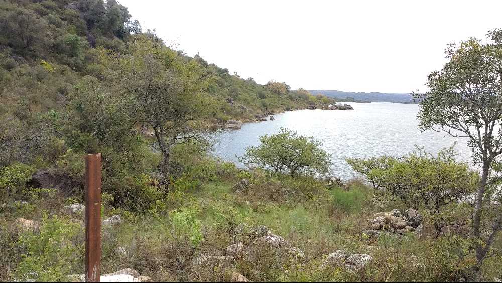 VENDO CAMPO DE CASI 12 HECTAREAS SOBRE EL LAGO EL CERRO PELADO - Imagen 2