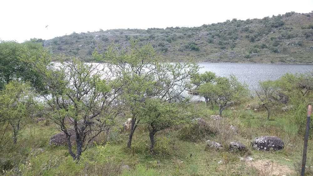 VENDO CAMPO DE CASI 12 HECTAREAS SOBRE EL LAGO EL CERRO PELADO - Imagen 3