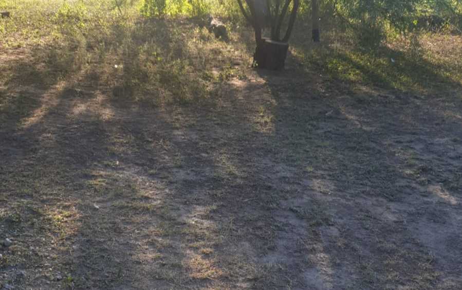 Campo Con Vivienda - Campo en Venta en La Banda con Mixto y 15 ha - imagen 9