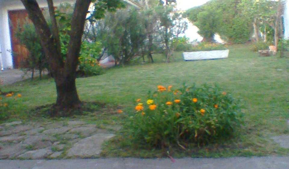 Casa disponible en Mar del Plata · dueño directo · 4 o más dorm · 4 cocheras · 390 m² de lote - Imagen 4
