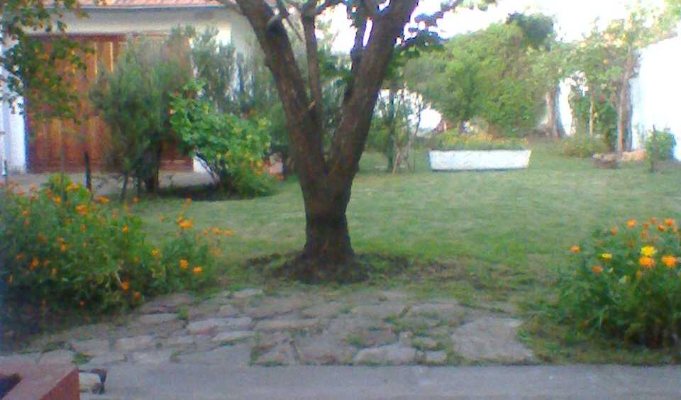 Vendo ,propiedad En Av Constitucion Al 7000. Lote De 10,33 Mts X 38 Mts Con Dos Viviendas - Casa en Venta en Mar del Plata con 4 dorm., 5 amb., 110 m2 cubiertos y 390 m2 totales - imagen 8