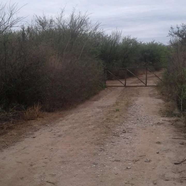 ESTANCIA SIN CASA SE ALQUILA O SE VENDE PROVINCIA DE SAN LUIS LOCALIDAD PUNTA DEL AGUA LAFINUR. - Imagen 3
