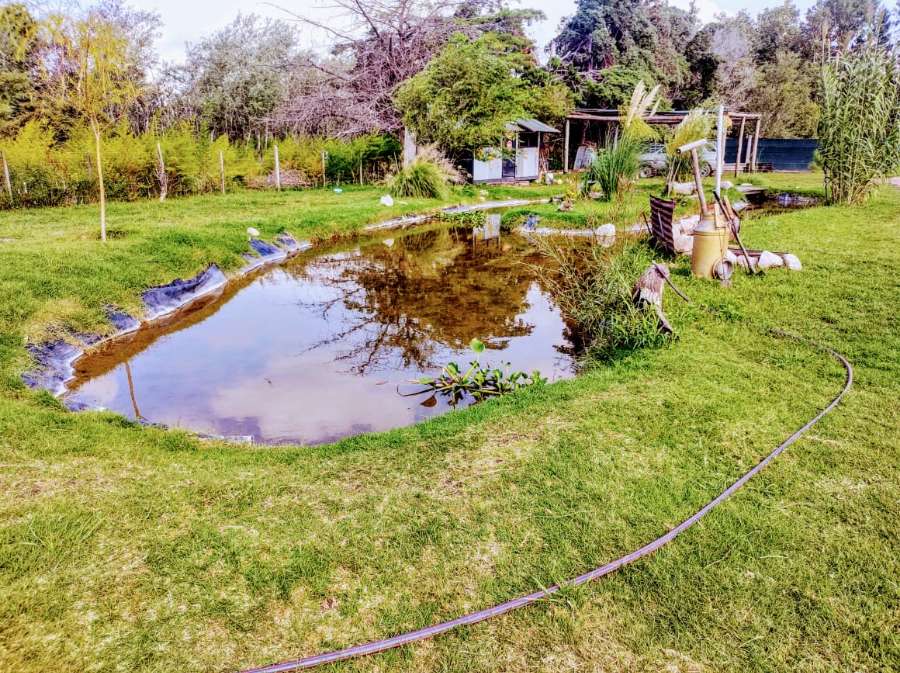 Vendo Casa En Sector Wittouck - Casa en Venta en Río Cuarto con 2 dorm. - imagen 15