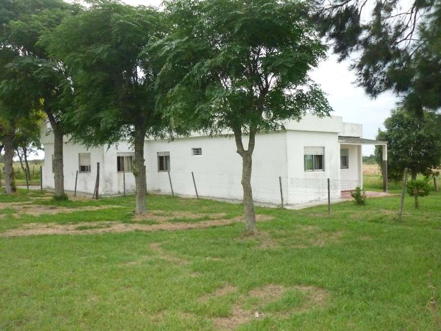 Casa En Venta En Hernandez Entre Rios - Campo en Venta en Hernandez con 2 ha - imagen 2