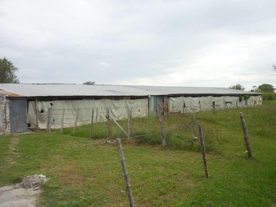 Casa En Venta En Hernandez Entre Rios - Campo en Venta en Hernandez con 2 ha - imagen 9