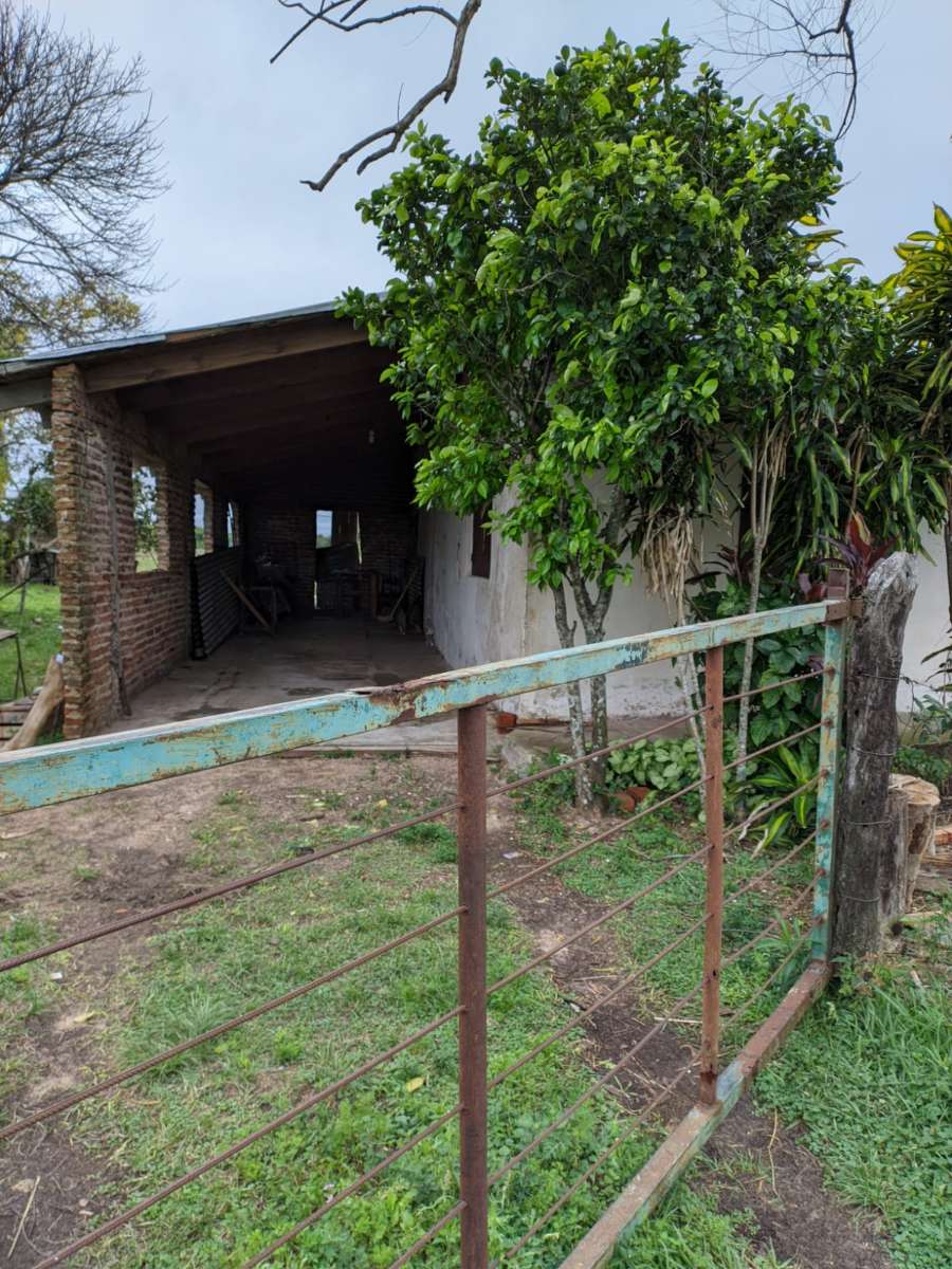 Casa con amplio jardín y cochera cubierta - Imagen 2