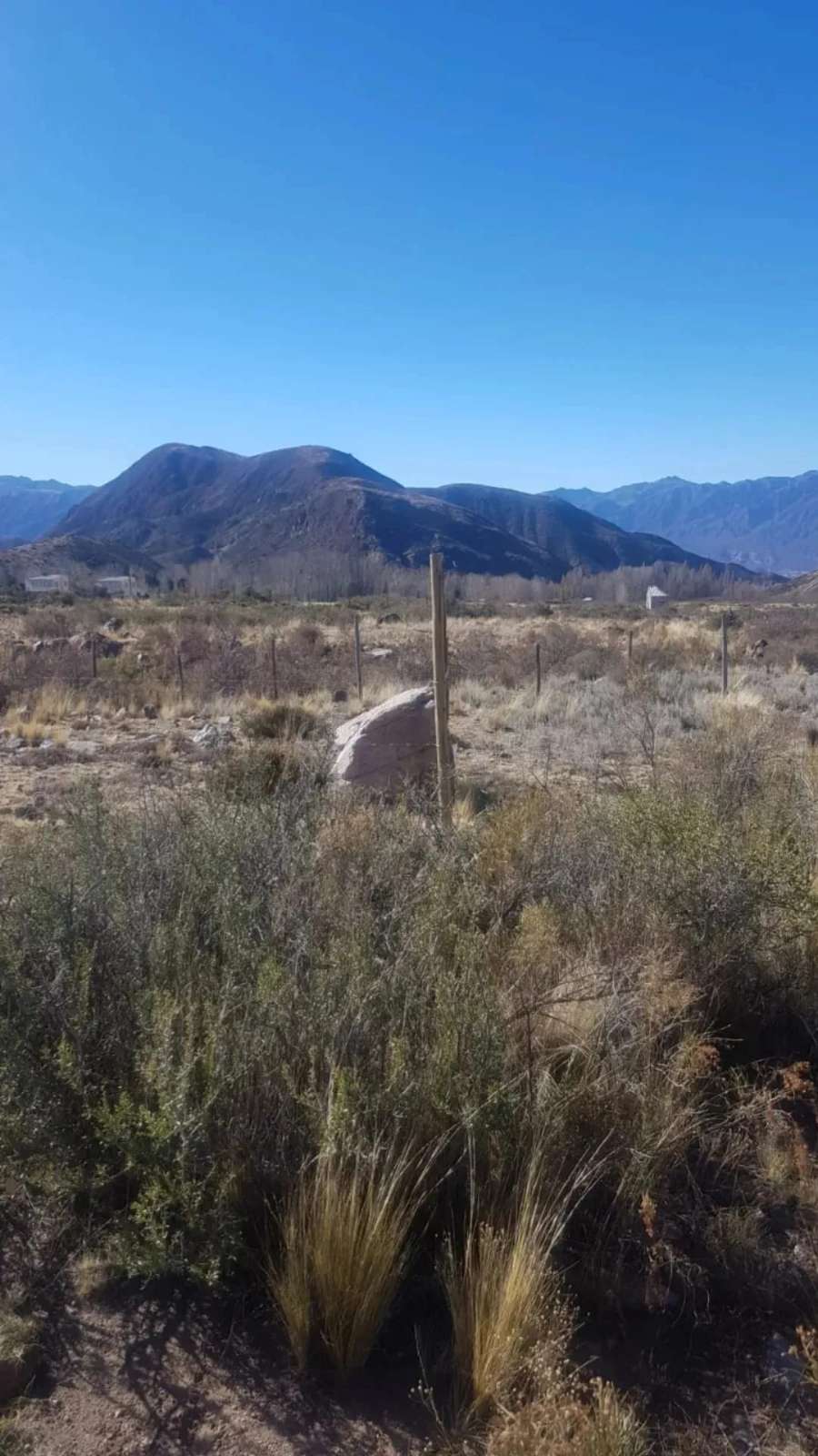Terreno en Venta en Lujan de Cuyo con · frente 1.000 m · largo 2.000 m · 2 m² de lote · dueño directo - Imagen 4