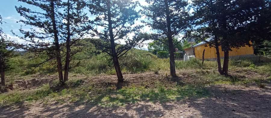Lotes En Venta Barrio Arroyo Grande-los Chacayes - Terreno en Venta en Tunuyan con 11.111 m2 de terreno - imagen 8