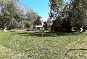 Terreno en Venta en Costa del Este con largo 27,27 m y 515 m² de lote - Imagen 2
