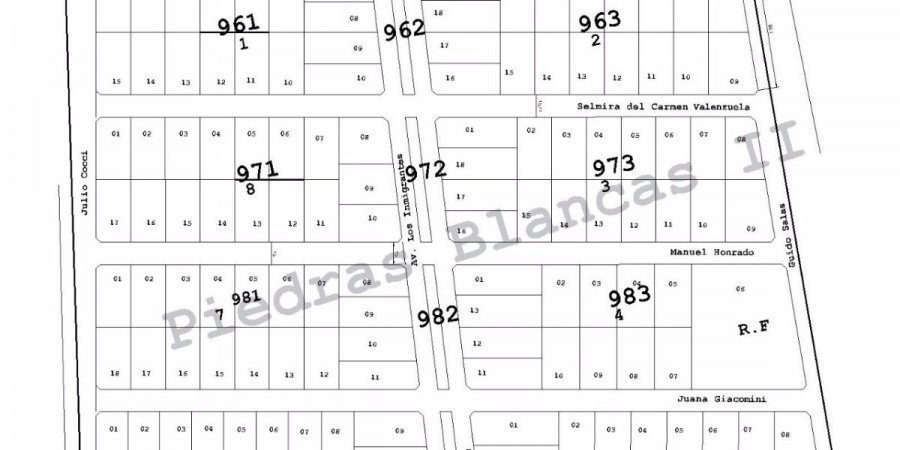 Terreno en Venta en Cinco Saltos con 490 m2 de terreno - imagen 3
