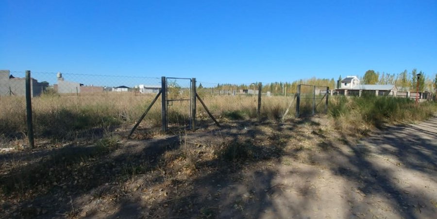 Terreno en Venta en Cinco Saltos con 490 m2 de terreno - imagen 4