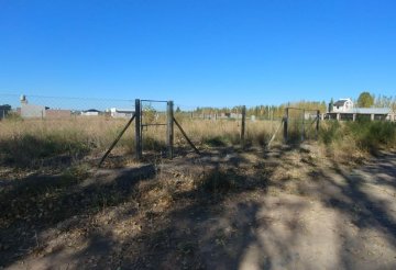 Terreno en Venta en Cinco Saltos con 490 m² de lote - Imagen 4