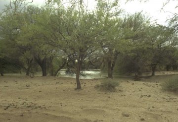 Campo en Venta en San Luis con 5.139 ha - Imagen 1
