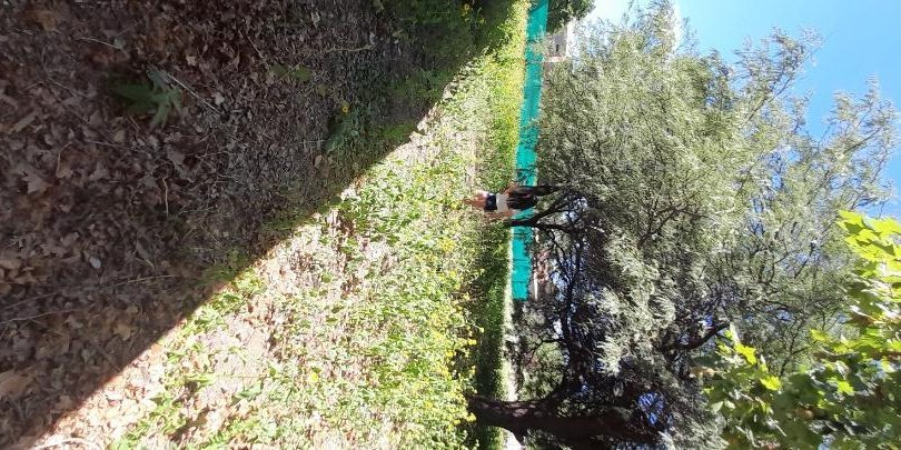 Terreno en Venta en Salta - imagen 3