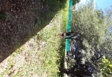 Terreno en Venta en Salta - Imagen 3