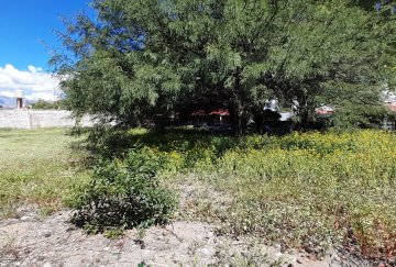 Terreno en Venta en Salta - Imagen 5