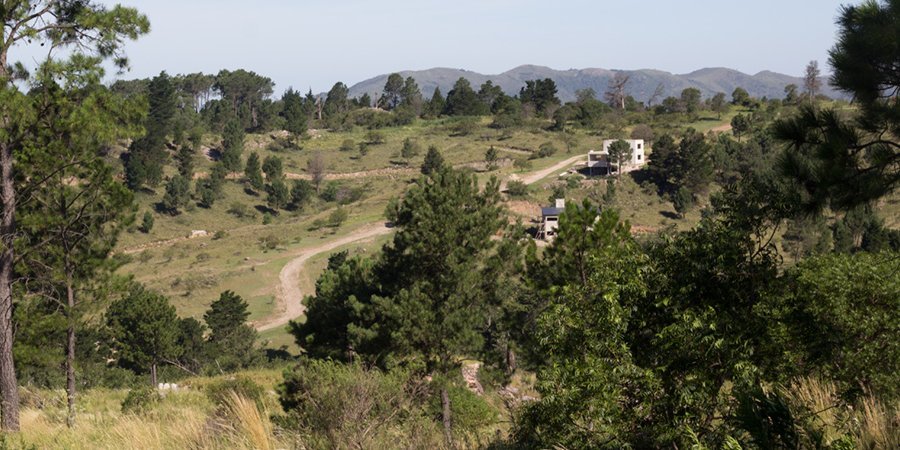 Terreno en Venta en Santa Maria con 3.000 m2 de terreno - imagen 9
