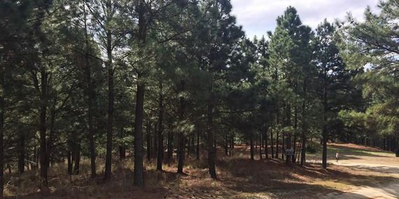 Terreno en Venta en Santa Maria con 3.000 m2 de terreno - imagen 3