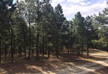 Terreno en Venta en Santa Maria con frente 30 m y largo 100 m - Imagen 3