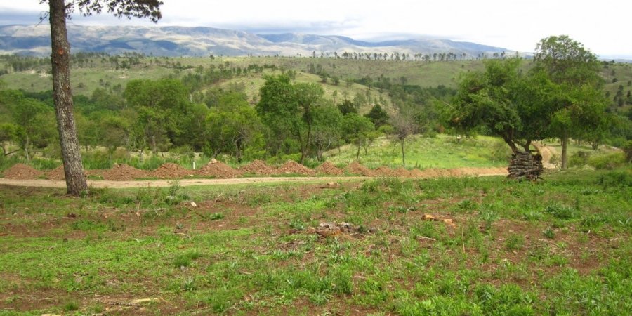 Terreno en Venta en Santa Maria con 3.000 m2 de terreno - imagen 7