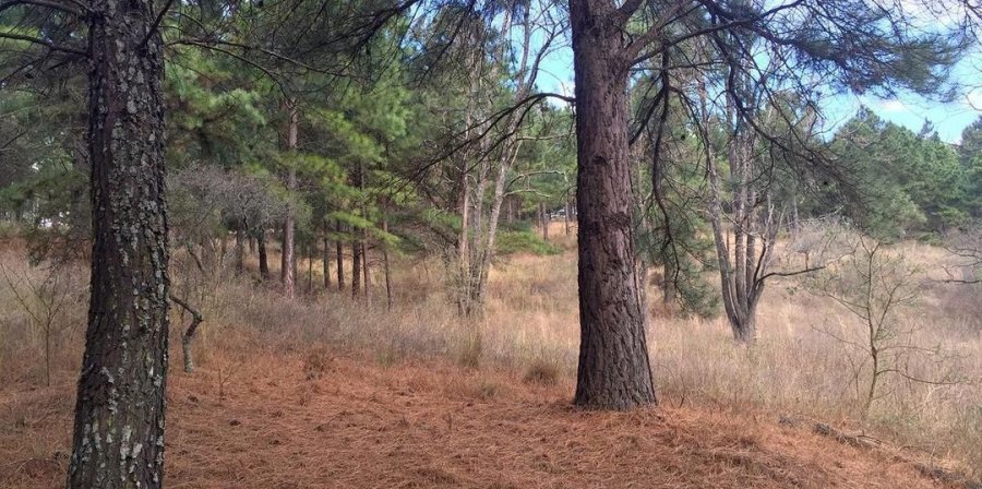 Terreno en Venta en Santa Maria con 10.000 m2 de terreno - imagen 1