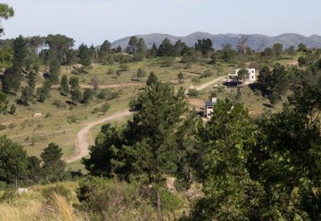 Terreno en Venta en Santa Maria con 10.000 m² de lote - Imagen 3